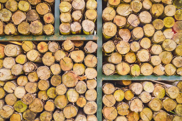 pile of wood logs, Pile of wood logs for winter, wooden background, stack of wood background.