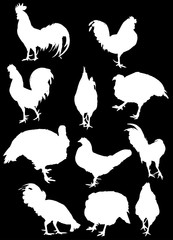 eleven farm bird white silhouettes