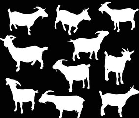 set of ten goats isolated on black