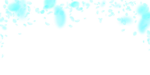 Turquoise flower petals falling down. Pleasant rom