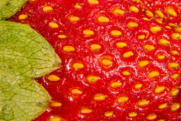 strawberry closeup