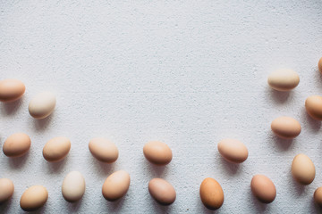 eggs background