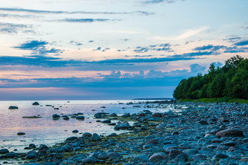 Shoreline in a rocky beach 
