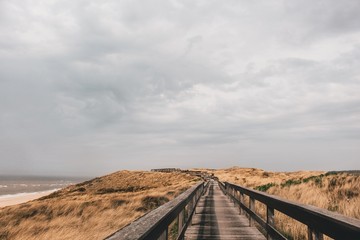Dünenlandschaft auf Sylt