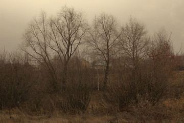 Obraz na płótnie Canvas Gloomy autumn landscape