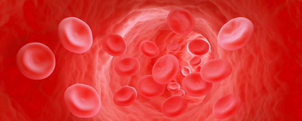 Flowing of Red Blood Cell, 3D illustration.