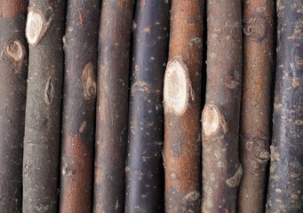 wood texture close up