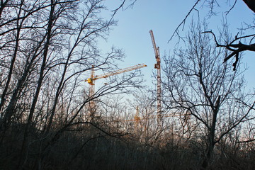 human approach to nature