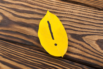 Handwritten exclamation point of black color on yellow falling autumn leaf on old rustic brown board