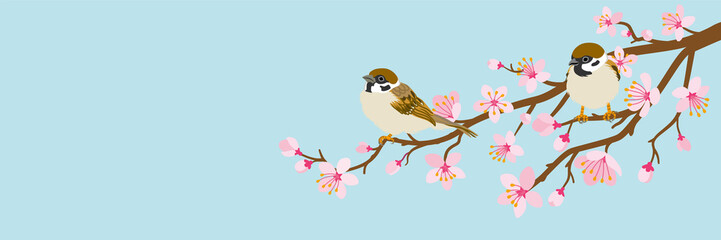 Naklejki  Dwa małe ptaki siadają na gałęzi kwitnącej wiśni — wróbel, stosunek kłosów