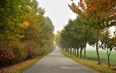 Naklejka premium Eine Allee im Herbst 