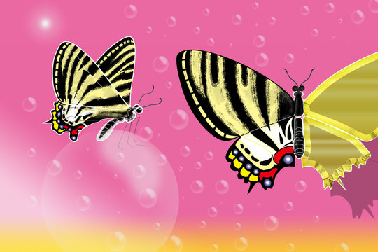 春になると羽化する 春の女神 と呼ばれている 珍しい蝶を描きました Stock イラスト Adobe Stock