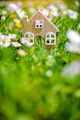The symbol of the house stands among white daisies 