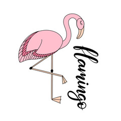 Flamingo, tropical leaves lettering  illustration