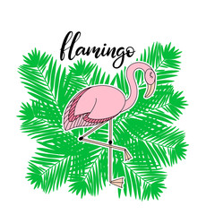Flamingo, tropical leaves lettering  illustration