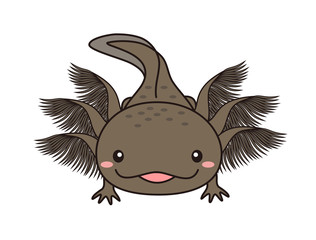 ウーパールーパー　マーブル　イラスト