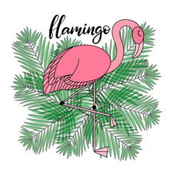 Flamingo, tropical leaves lettering  illustration