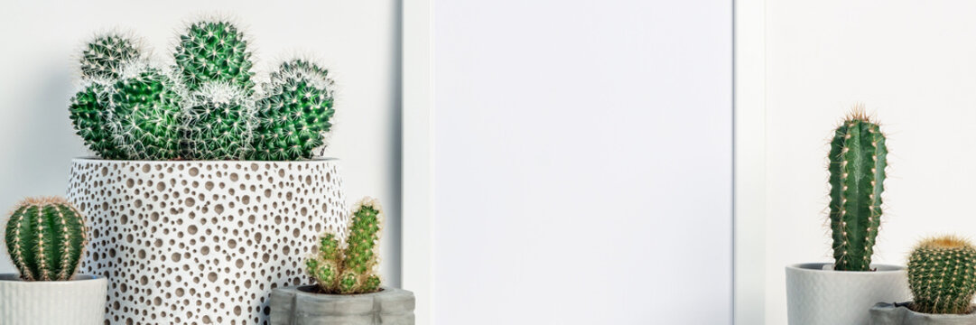 Cactus decoration in concrete and ceramic pots. White empty frame mockup. Space for text or graphics. Panoramic real photo