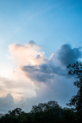 Fototapeta premium clouds above the rainforste