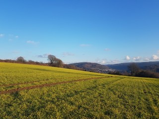 Fototapeta premium 164425