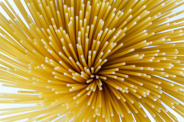 Uncooked long spaghetti on a white background