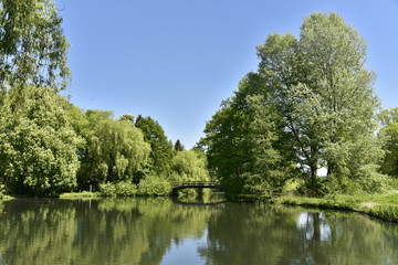 Fototapeta na wymiar Passerelle traversant un chenal étroit entre deux étangs en plein coeur de la végétation dense et luxuriante du domaine provincial du Rivierenhof à Anvers