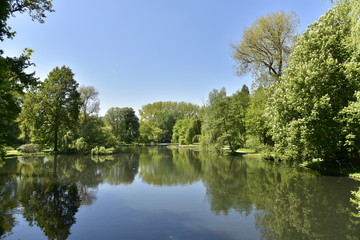 Fototapeta na wymiar L'un des grands étangs et son reflet entouré d'une végétation luxuriante dans le bois du domaine provincial du Rivierenhof à Anvers