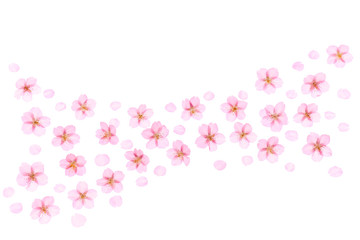 Fototapeta na wymiar Cherry Blossoms Background Spring image