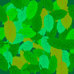 Fototapeta na wymiar Spring Leaves Seamless Background. Set of Green Fresh Leaves