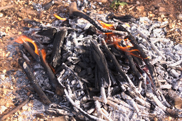 Campfire to make a barbecue for lunch