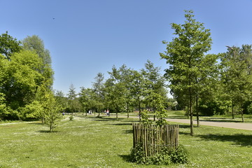 L'une des pelouses avec quelques arrangements le long d'une route au domaine provincial du Rivierenhof à Anvers