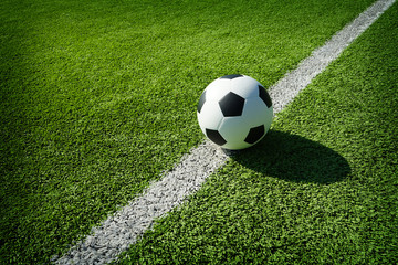 Fototapeta na wymiar soccer field with a ball