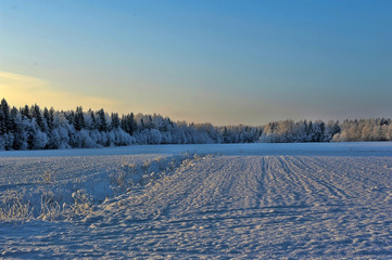 Fototapeta na wymiar snow covered winter field