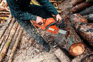 Male lumberjack fells chainsaw forest. Male hand holding chainsaw. Forester's work. Man cuts tree with chainsaw in forest.