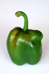 Green paprika on white background.