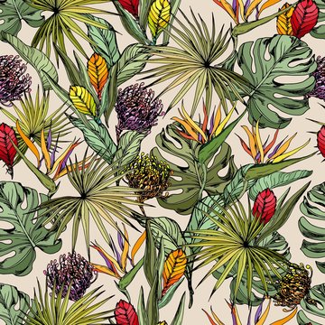 Seamless pattern with exotic strelitzia and bromeliad flowers. Hand drawn vector on beige background.