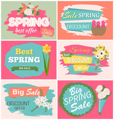 Spring sale, discount and best offer, label with rose, lilac and violet, daisy bouquet. Advertisement decorated by flowers, greeting for ladies vector. Early spring and summer flower for wedding