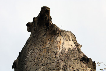 Forma astratta con tronco di albero e cielo © mauro tombolini