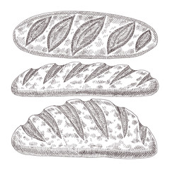bakery product isolated on white background. Hand drawn bread food illustration. Sketch vintage objects for label, icon, packaging.
