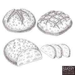 bakery product isolated on white background. Hand drawn bread food illustration. Sketch vintage objects for label, icon, packaging.