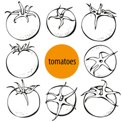 Set of hand drawn tomatoes on white background