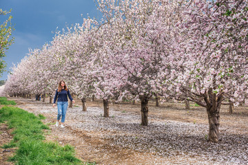 Spring in Jerusalem