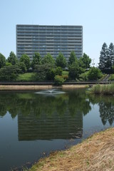 マンションと池