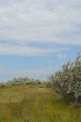 Walk to the salt lakes