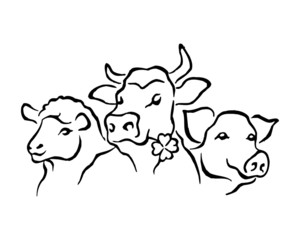 Domestic animals, sheep, cow, pig, set of black and white icons