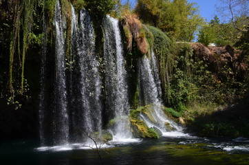 A high waterfall with several streams falls from a green hill surrounded by hanging plants, vines and greenery