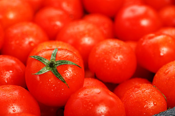 Fresh cherry tomatoes with green leaves. Background red tomatoes.
