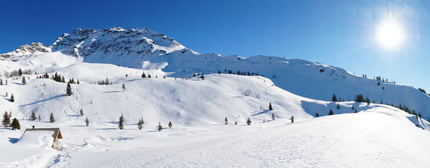 Fototapeta na wymiar chalet montagne en hiver