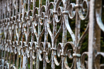 Forged iron fence closed up