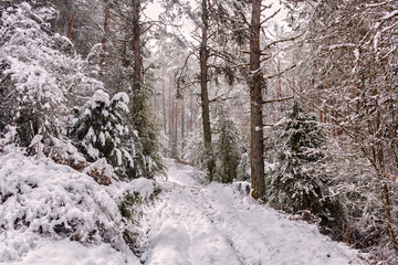 snowy landscape at pyrenees